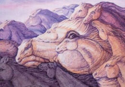 Personlighedstest om heste - test dig selv