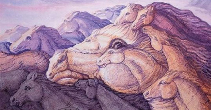 Personlighedstest om heste - test dig selv