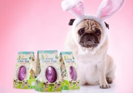 Påskeæg til hunde som du kan elske