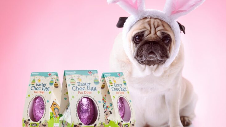 Påskeæg til hunde som du kan elske