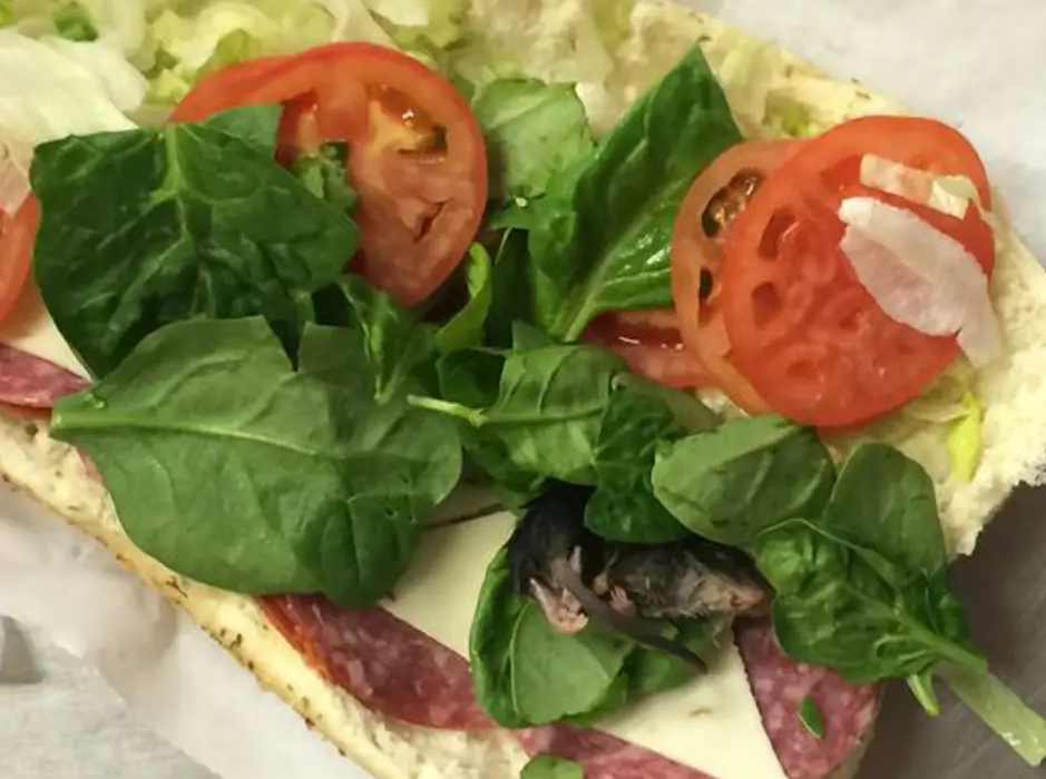 Rottesandwich - død rotte fundet i mad