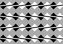 Optiske Illusioner der snyder dine øjne