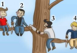 Hvem er den dummeste dreng - personlighedstest