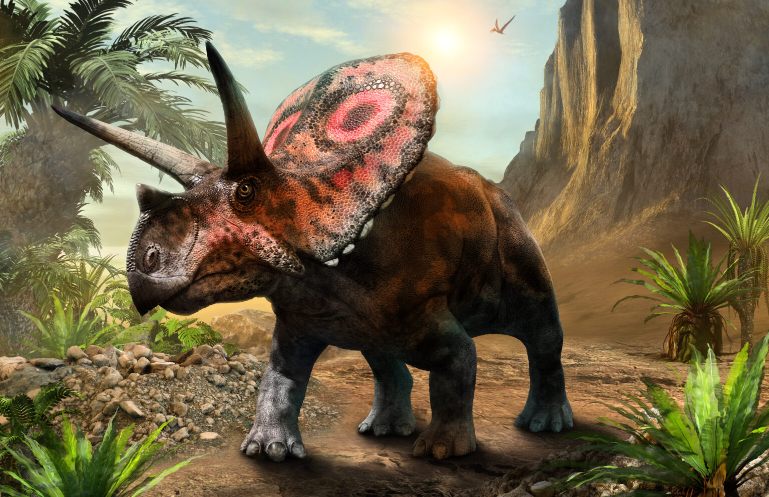 34 Facts og Fakta om Dinosaurer - Infohat